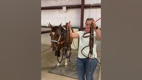 Bridling with a sidepull