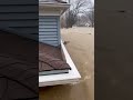 🌊 Heartwarming Acts in Floods #AnimalRescue #NatureKindness #FloodSupport