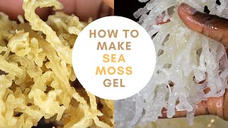 How to Make Sea Moss Gel + Smoothie Recipe