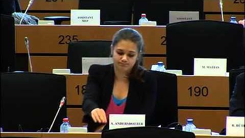 Amelia Andersdotter i industriutskottet om dataskydd vs Pat Rabbitttee