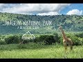 Akagera National Park - A Beautiful Story