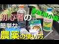 【家庭用農薬の使い方】農薬を使う前に注意すること、実際の作り方、使い方【万年青の豊明園】【How to make a Germicide for OMOTO】