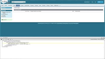Nexstara Salesforce Visualforce Workbook Walkthrough - Tutorial 5 - User Interface Components