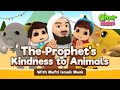 Omar & Hana ft Mufti Ismail Menk | The Prophet's Kindness To Animals | Islamic cartoon