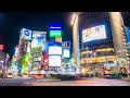 渋谷の恋灯り 松本 信一