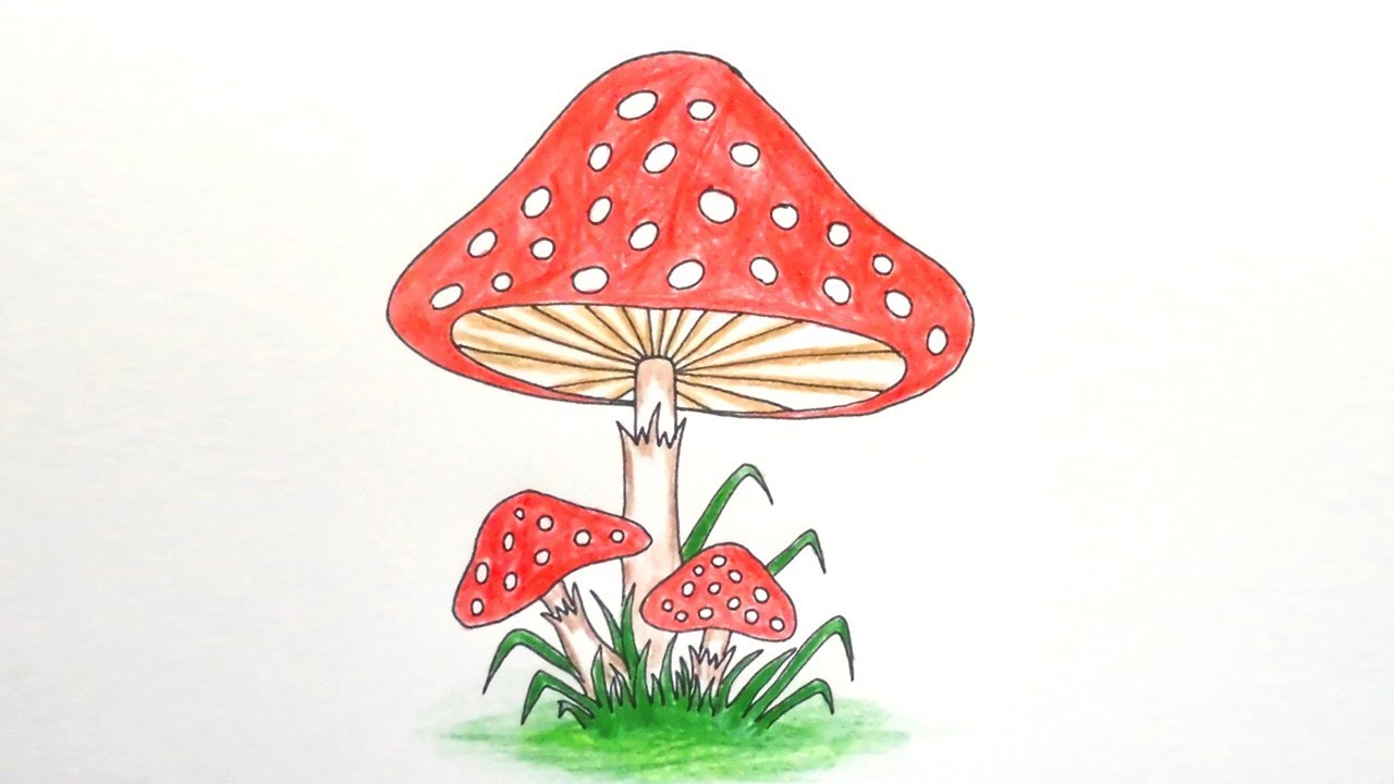 Easy Mushroom Drawing Easy Drawings Dibujos Faciles Dessins | My XXX ...