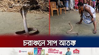 ডিমসহ ধরা পড়ছে বিষাক্ত সব সাপ! ছোবলও খাচ্ছে মানুষ | Snake Venom | Jamuna TV