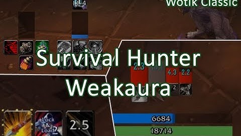 Custom Survival Hunter Weakaura - Wotlk Classic