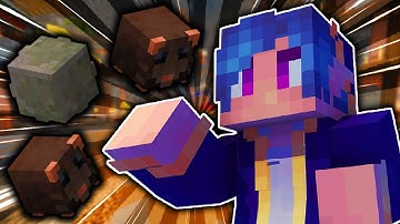 The ADMINS Finally Fixed These GLITCHES! (Hypixel Skyblock)