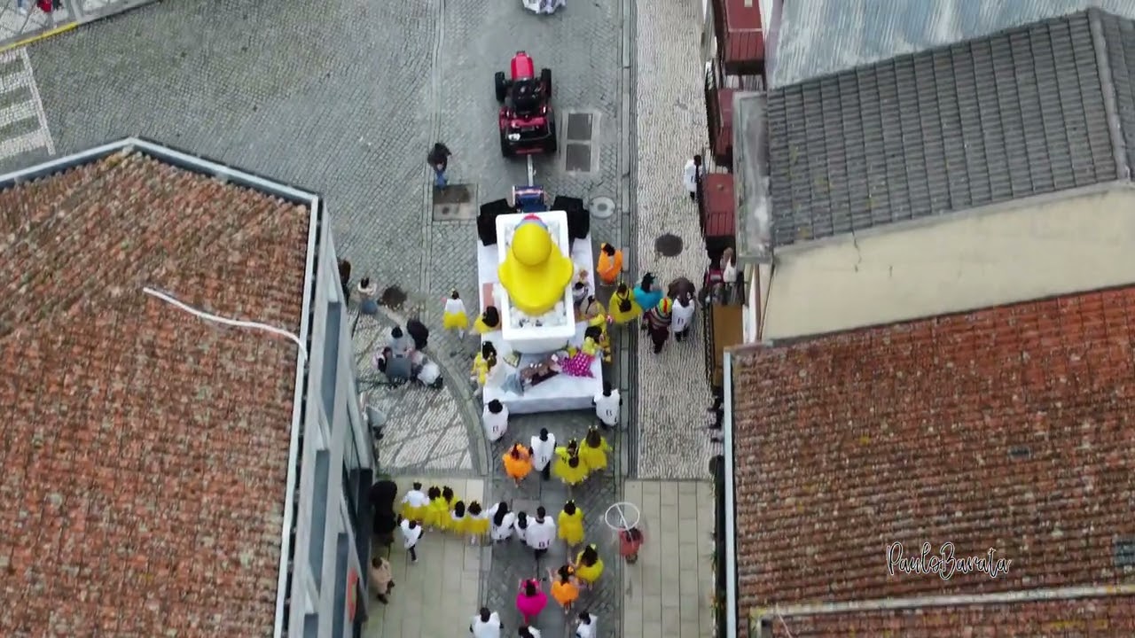 Carnaval de Nelas , 15.02.2026