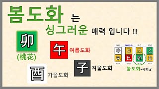 기초편 7장 / 경금 신금 / 하루10분 영상으로 사주보기 / 사주공부 / 사주기초 / 사주초보 / 만세력