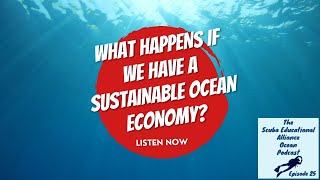 25. What if we had a sustainable ocean economy?