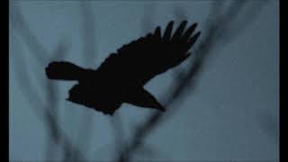 Stone Breath - Upon A Crow&#39;s Wing