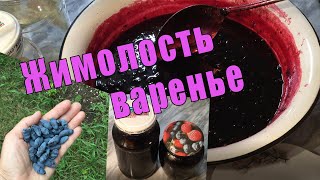 Витамины впрок ||Варенье из жимолости ||Здоровье в баночке