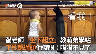 貓老師坐下起立教萌弟學站 下秒跳過頭他傻眼:喵喵不見了| 寵物|貓咪|貓褓母 貓老師坐下起立教萌弟學站 下秒跳過頭他傻眼:喵喵不見了| 寵物|貓咪|貓褓母