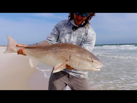 The Easiest & Fastest Way To Find Inshore Saltwater Fish (REDFISH