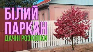 картинка: Дерев'яний паркан, що зробили😋Чому білий?🩷Розкопала скарб на дачі - цікава знахідка😱 Перший мінус🌡️