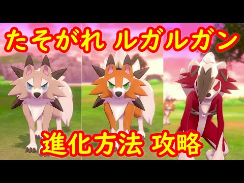 ソードシールド ルガルガン まひるのすがた の種族値 わざ 特性など能力と入手方法 ポケモン剣盾 攻略大百科