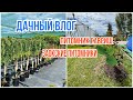 Дачный влог. ЗАОКСКИЕ питомники. Гавриш. Что купили? | VLOG of my life