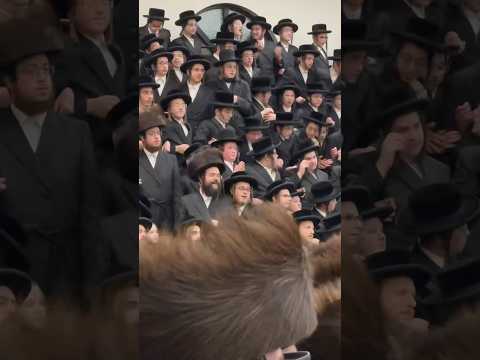 DANCING WITH THE TORAH🔥❤️‍🔥🔥