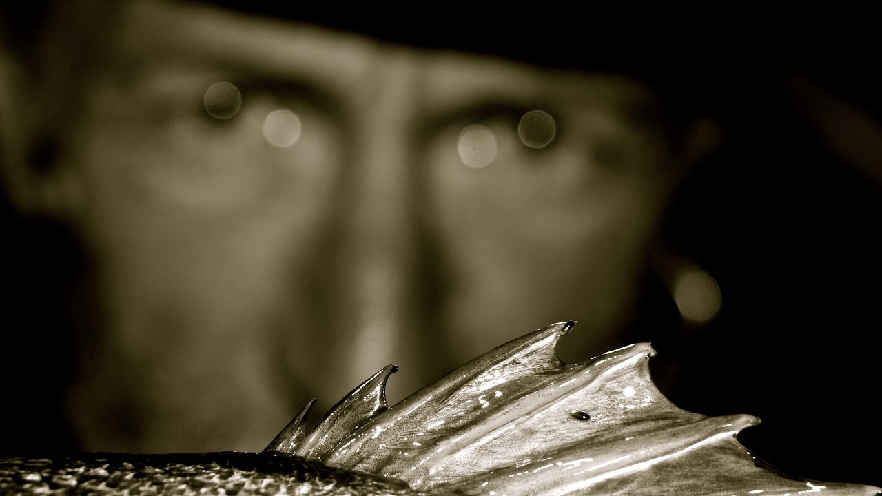 PENDOLINO RIG SYSTEM SW