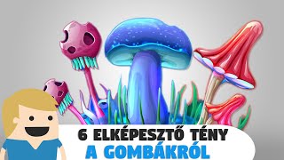 6 elképesztő tény a Gombákról, amit te sem tudtál!