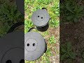 Standing Too Long at Events or Camping? This Portable Stool Fixes It Instantly