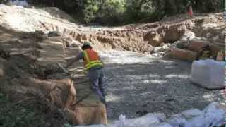 Removing Salmon-Blocking Culverts in Forests