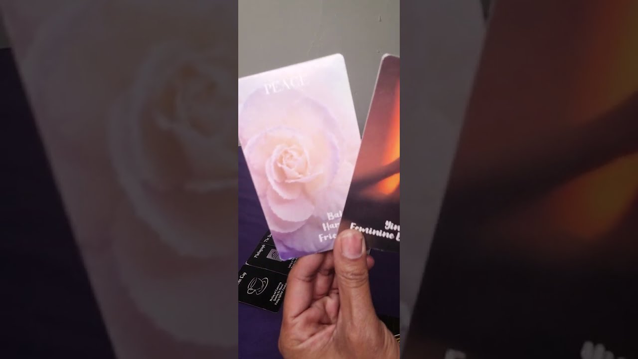 Aquarius 🩶 Focusing on yourself brings in a gift from the universe ✨️💫🌟 #aquarius #tarot #love