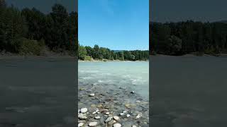 Мощная горная река #катунь