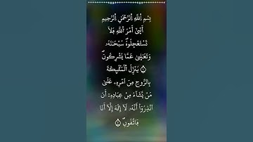 ما تيسر من سورة ( النحل ) القارئ ( منير نور السلام ) تلاوة بدقة عالية / صوت من عالم آخر