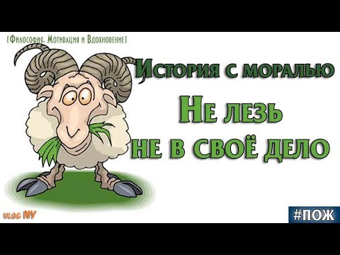 Не лезь не в свое дело. История с моралью для тех, кто лезет не в своё дело. ПОЖ. VLOG NY