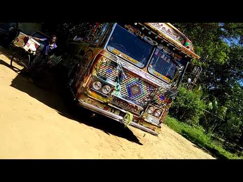 Choice Queen Ashawari/katharagama tours /Bus video /New horn