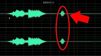 A signal that terrified them...