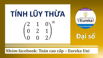 Đại số 1.1.2 Tính lũy thừa bậc n của ma trận vuông - phương pháp quy nạp và khai triển nhị thức