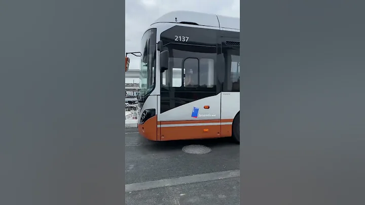 Bus 14 on the new Suzan Daniel bridge