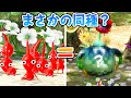実はピクミンにはとんでもない姿の同種がいるらしい…【原生生物進化の奇跡】