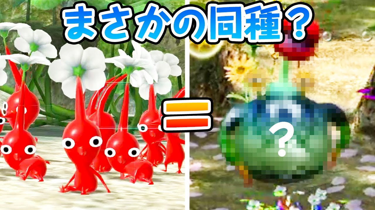 実はピクミンにはとんでもない姿の同種がいるらしい 原生生物進化の奇跡 Youtube