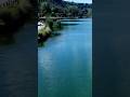 Lago d'Averno #lake #campania #pozzuoli #landscape #drone #aerialfootage #dji