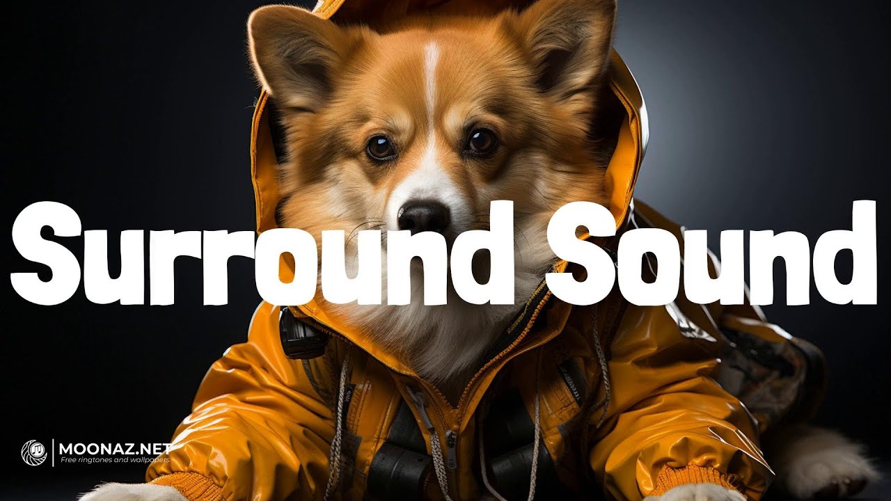 Watch JID - Surround Sound | LYRICS | Different Breed (feat. Swae Lee & Latto) - Mike WiLL Made-It on YouTube Watch JID - Surround Sound | LYRICS | Different Breed (feat. Swae Lee & Latto) - Mike WiLL Made-It on YouTube