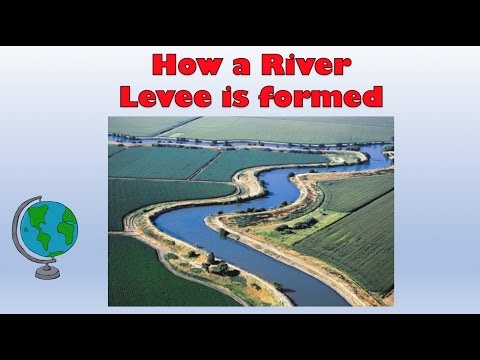 Natural River Levees - How are they formed? Labelled diagram and explanation