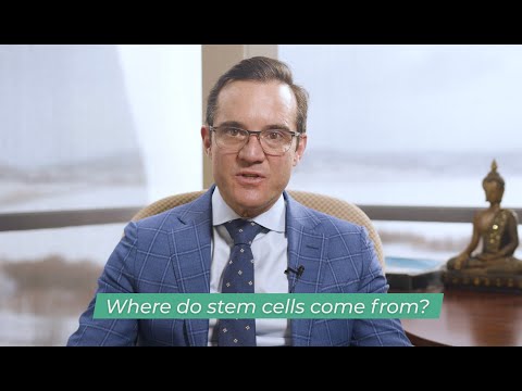 וִידֵאוֹ: היכן נמצאים תאים לאביליים?