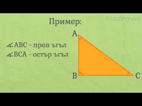 Видове ъгли - Математика 3 клас | academico