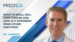 What is small cell lung cancer and how is it different from other subtypes?