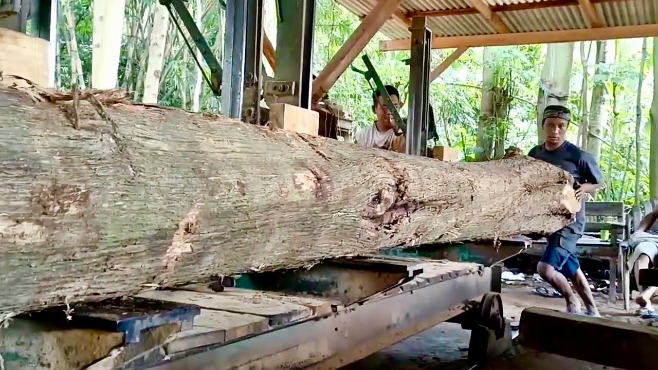 🌲ВАУ!!! Долгий и изнурительный процесс обработки тикового дерева🌲