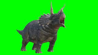 green screen animal video copright free