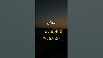 قراءة عاذبة للشيخ ياسر الدوسرى سورة النحل اية  77-78.
