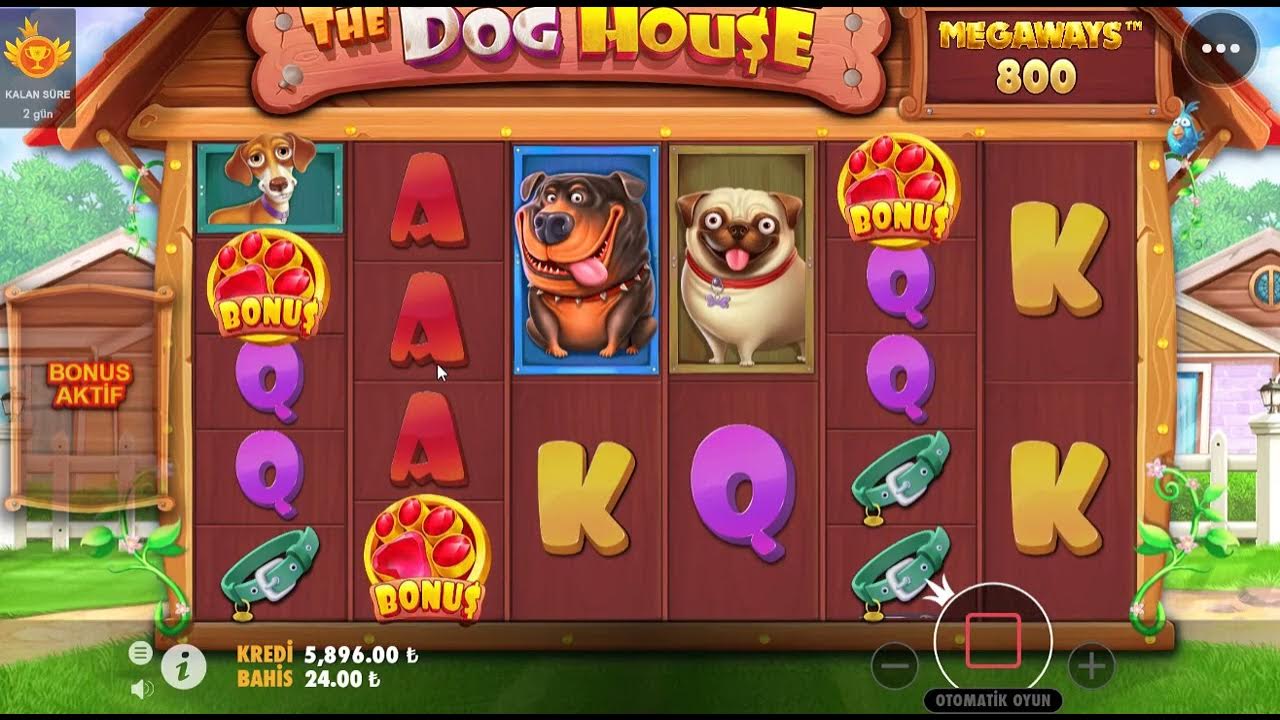 Doghouse dog house слот играть. Sweet Bonanza Mega win.