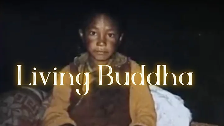 Finding The Reincarnated Buddha | Living Buddha Documentary - DayDayNews