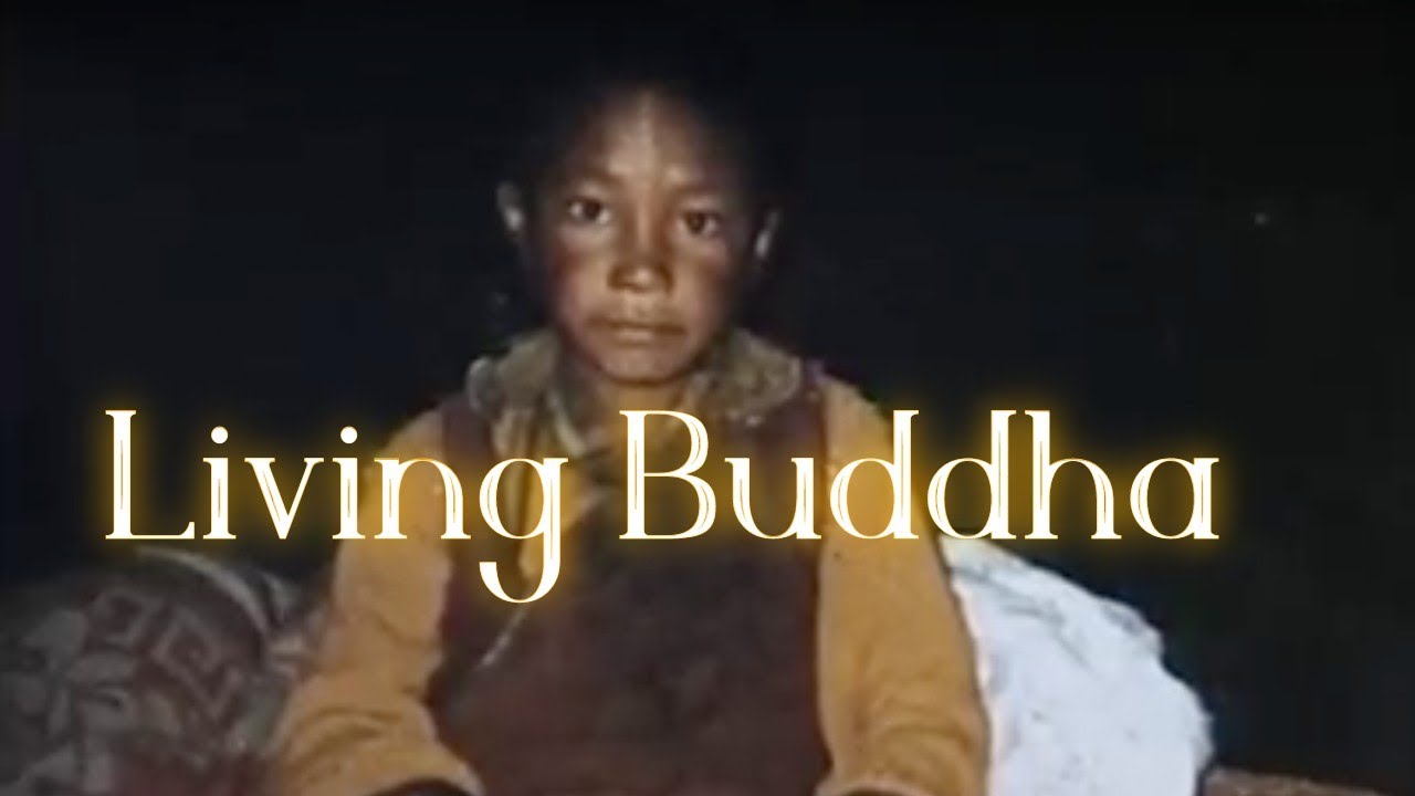Finding The Reincarnated Buddha Living Buddha Documentary YouTube